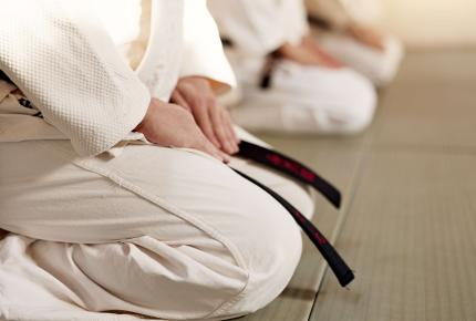 Shuswap dojo at Cedar Heights