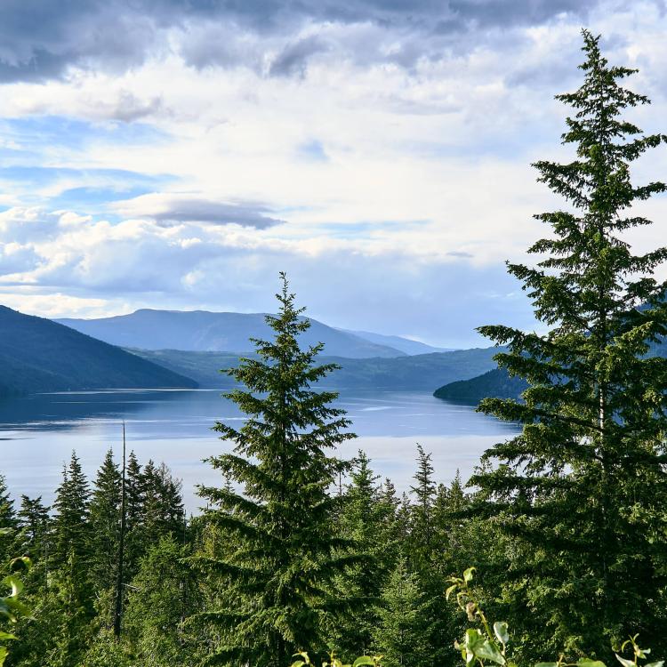 Become a member at Cedar Heights