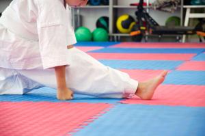 Shuswap dojo at Cedar Heights